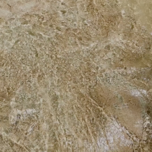 elevae_video_22_00017