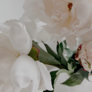 elevae_video_22_00094