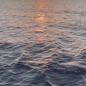 elevae_video_22_00098