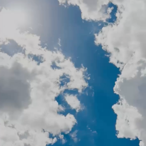 elevae_video_22_00029