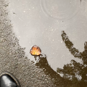 elevae_video_22_00055