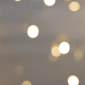 elevae_video_22_00059