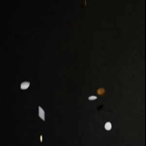 elevae_video_22_00078