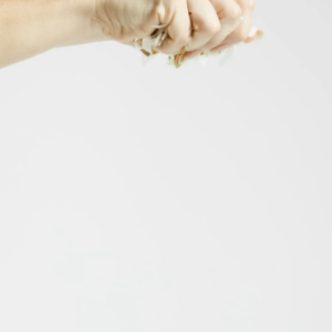 elevae_video_22_00080