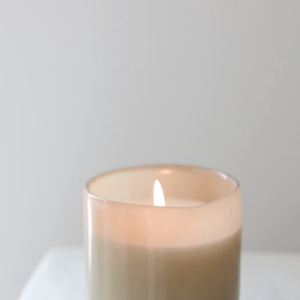 elevae_video_22_00088