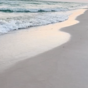 elevae_video_22_00120