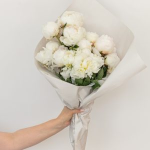 Elevae_23_005748