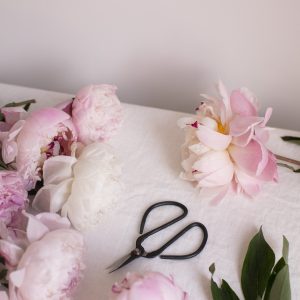 Elevae_23_0000005662