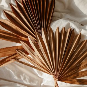 Elevae_23_0000005634