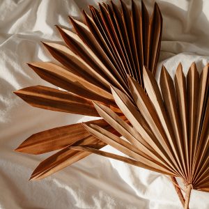 Elevae_23_0000005633