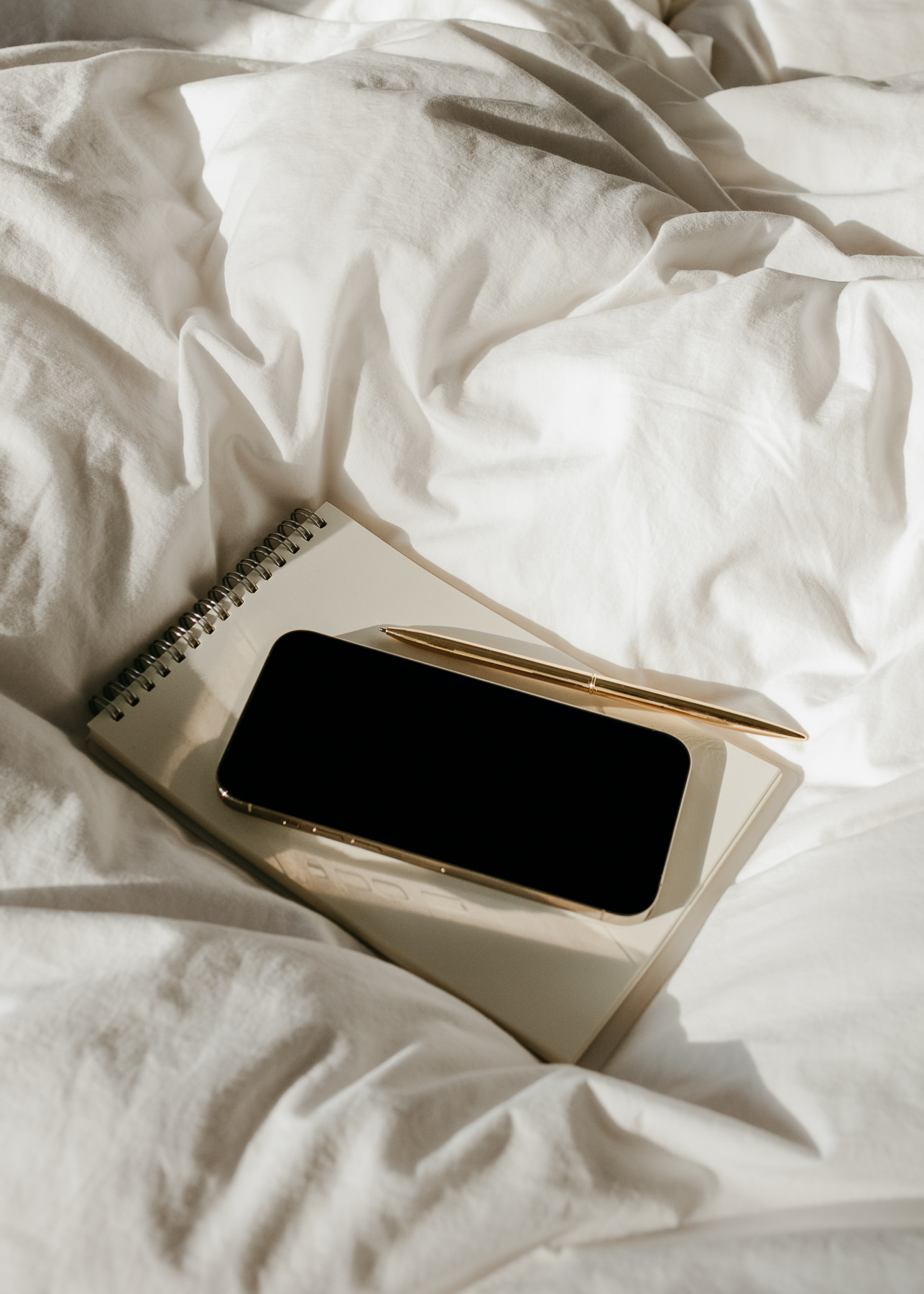 Elevae_23_0000005626