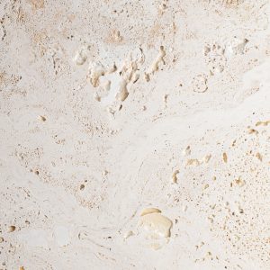Elevae_23_0000005600