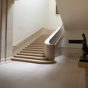 Elevae_23_0000005580