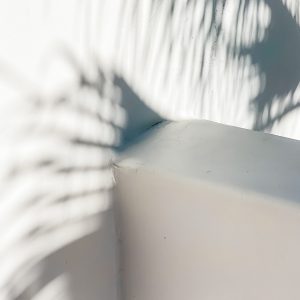 Elevae_23_0000005573