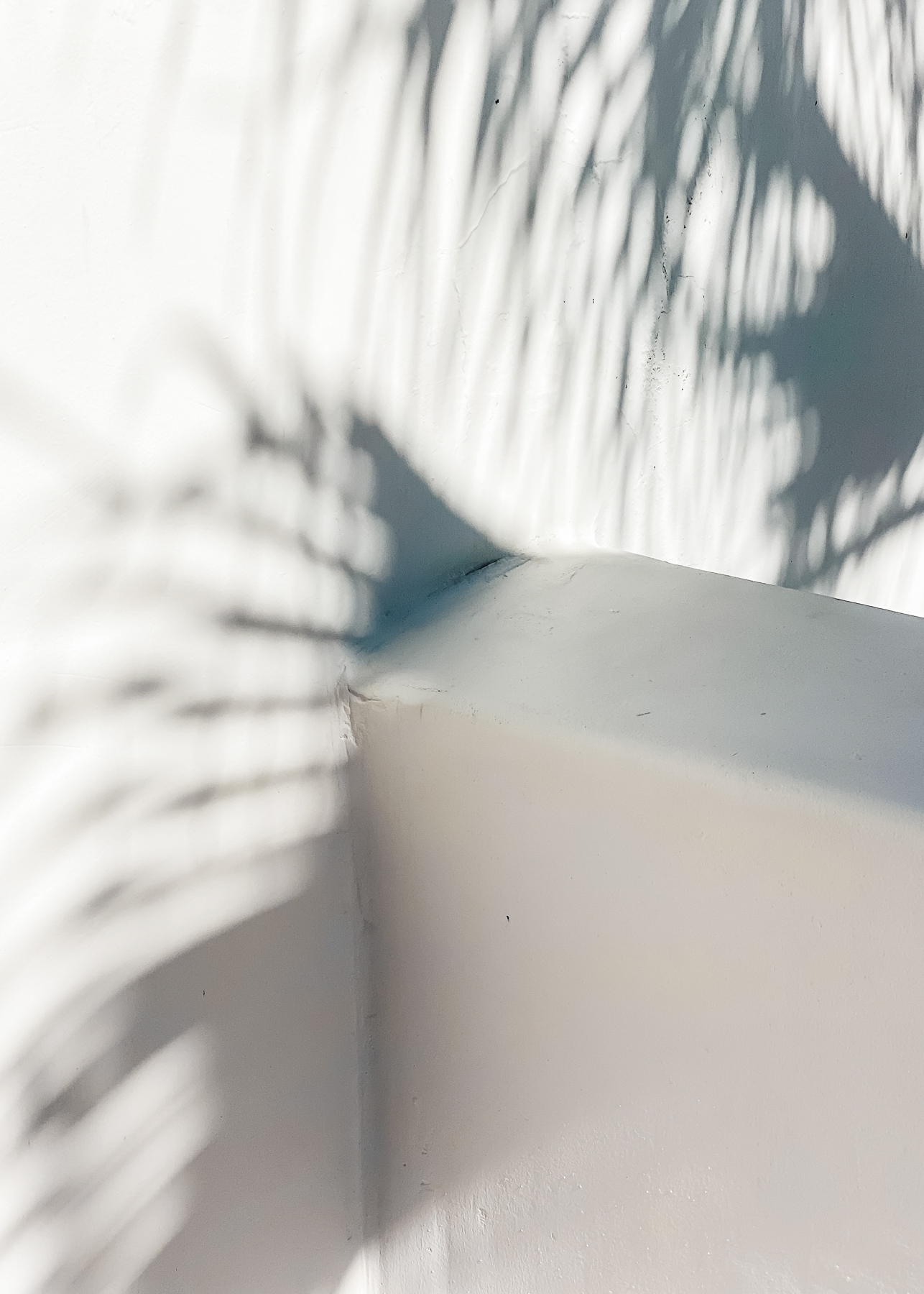 Elevae_23_0000005573