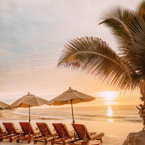 Elevae_23_0000005539