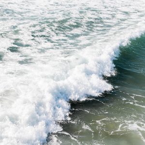 Elevae_23_0000005234