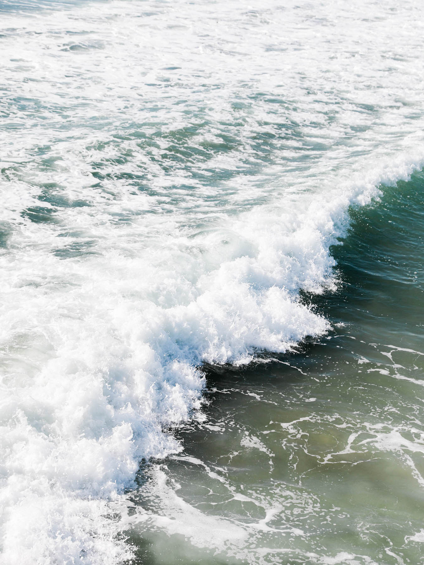 Elevae_23_0000005234