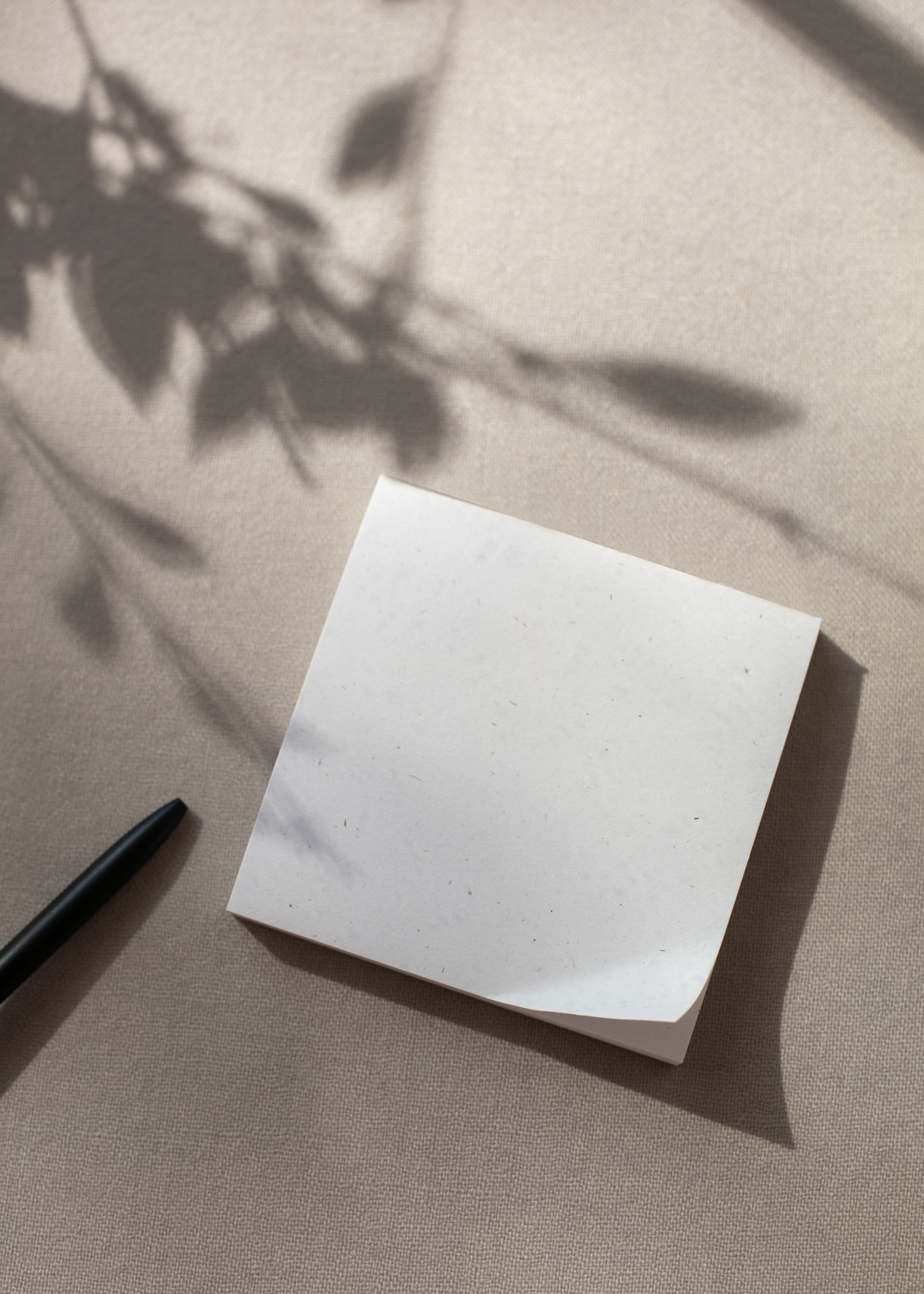 Elevae_23_0000005210