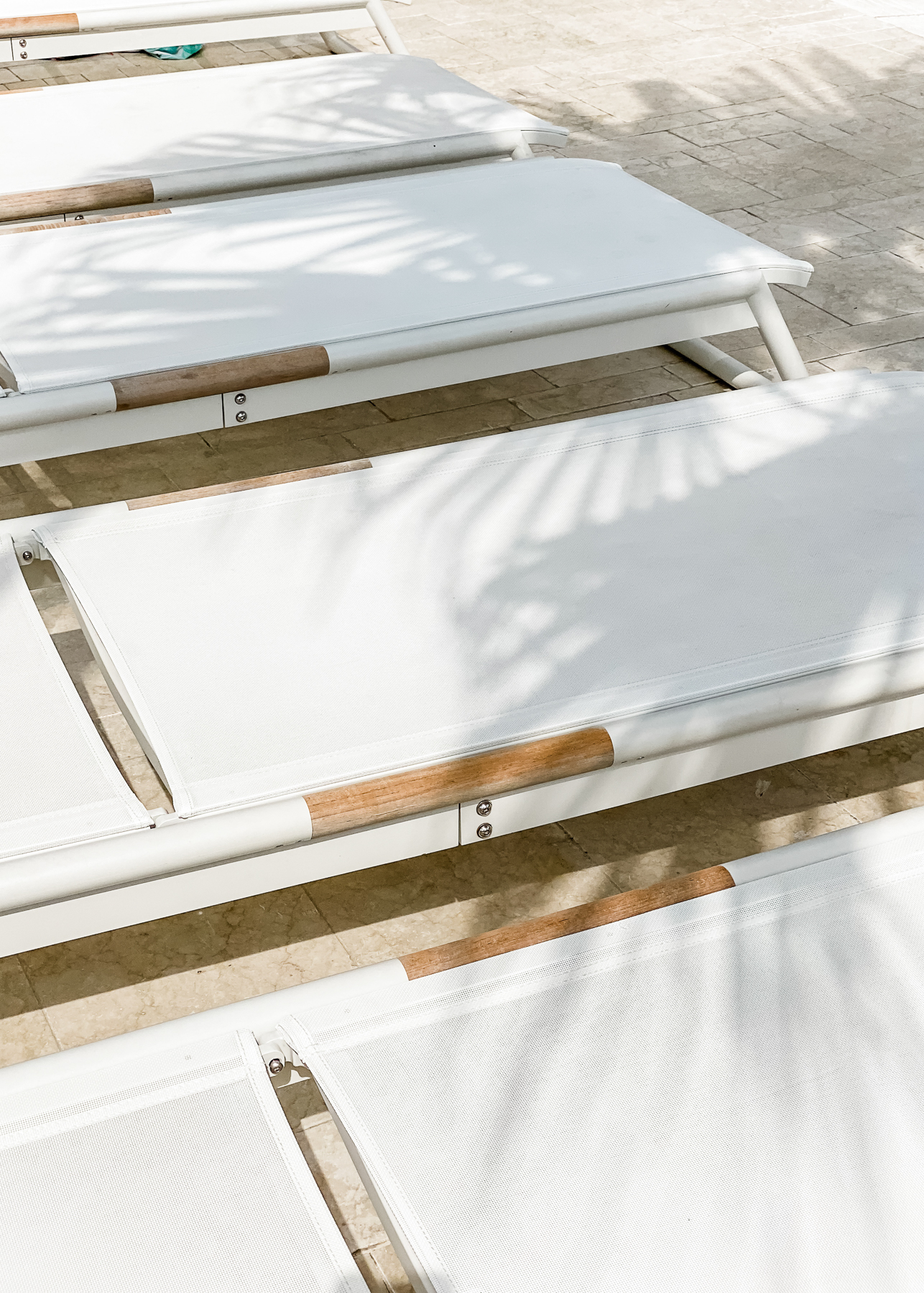 Elevae_23_0000005203