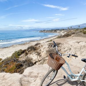 Elevae_23_0000005201