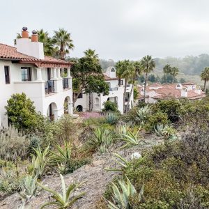 Elevae_23_0000005200