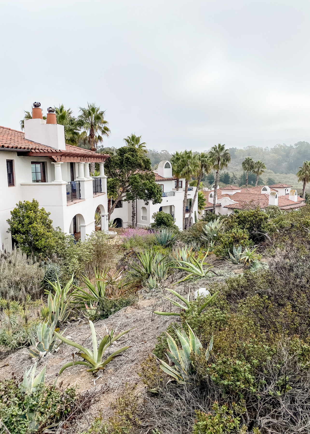 Elevae_23_0000005200