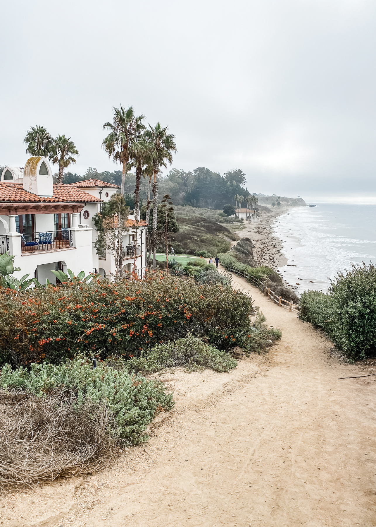 Elevae_23_0000005199