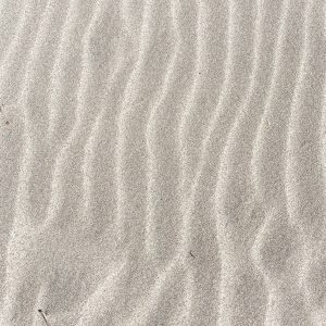 Elevae_23_0000005194