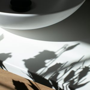 Elevae_23_0000005149