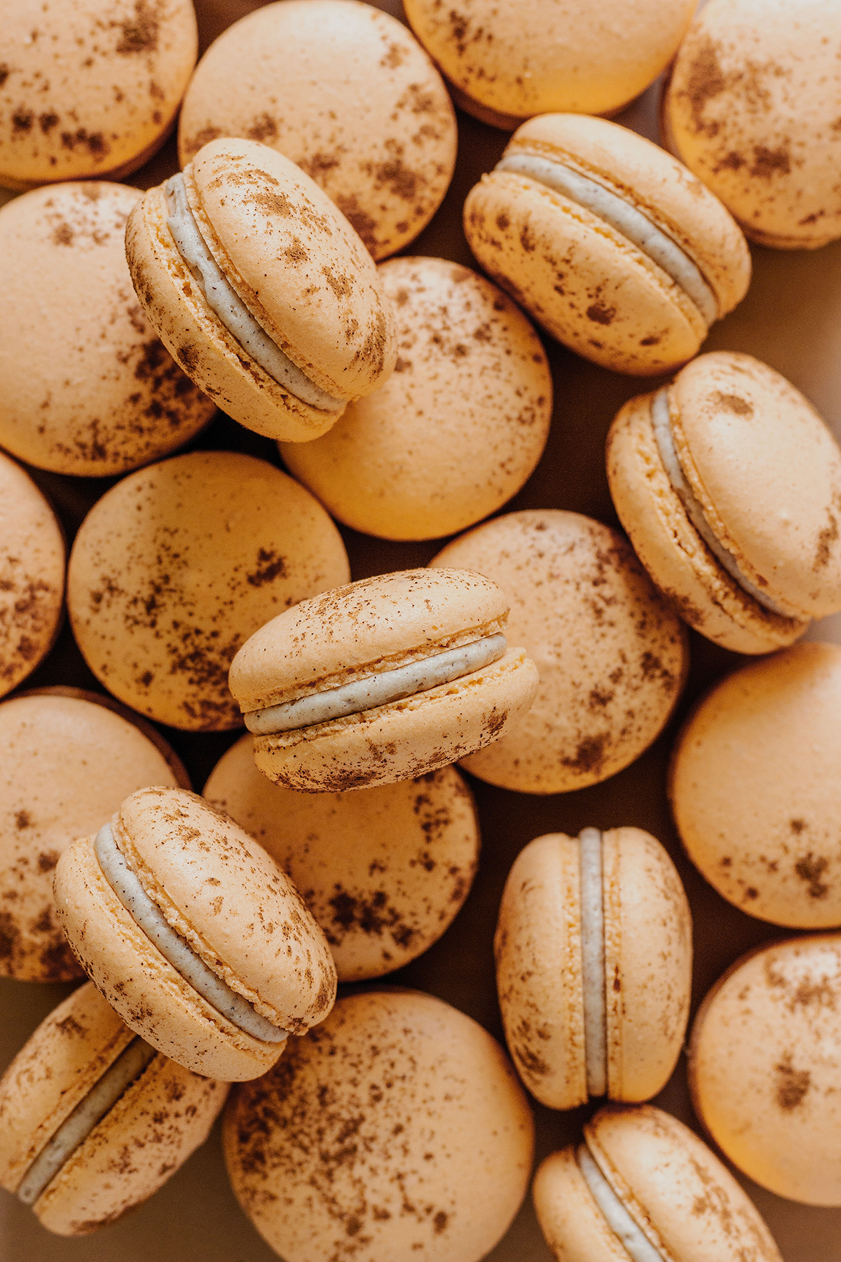 Elevae_23_0000005110