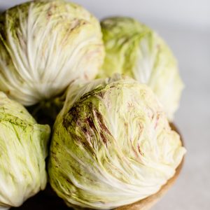 Elevae_23_0000005069