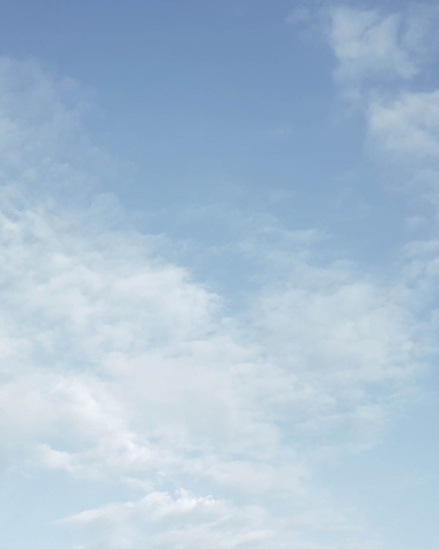 Elevae_23_0000005060