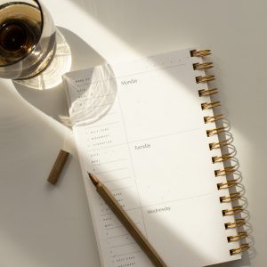 Elevae_23_0000004854