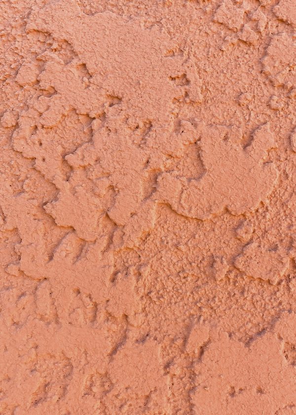 Elevae_23_0000004825