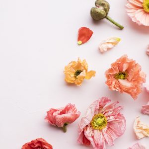 Elevae_23_0000004643