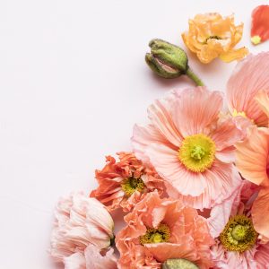 Elevae_23_0000004640