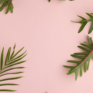 Elevae_23_0000004598