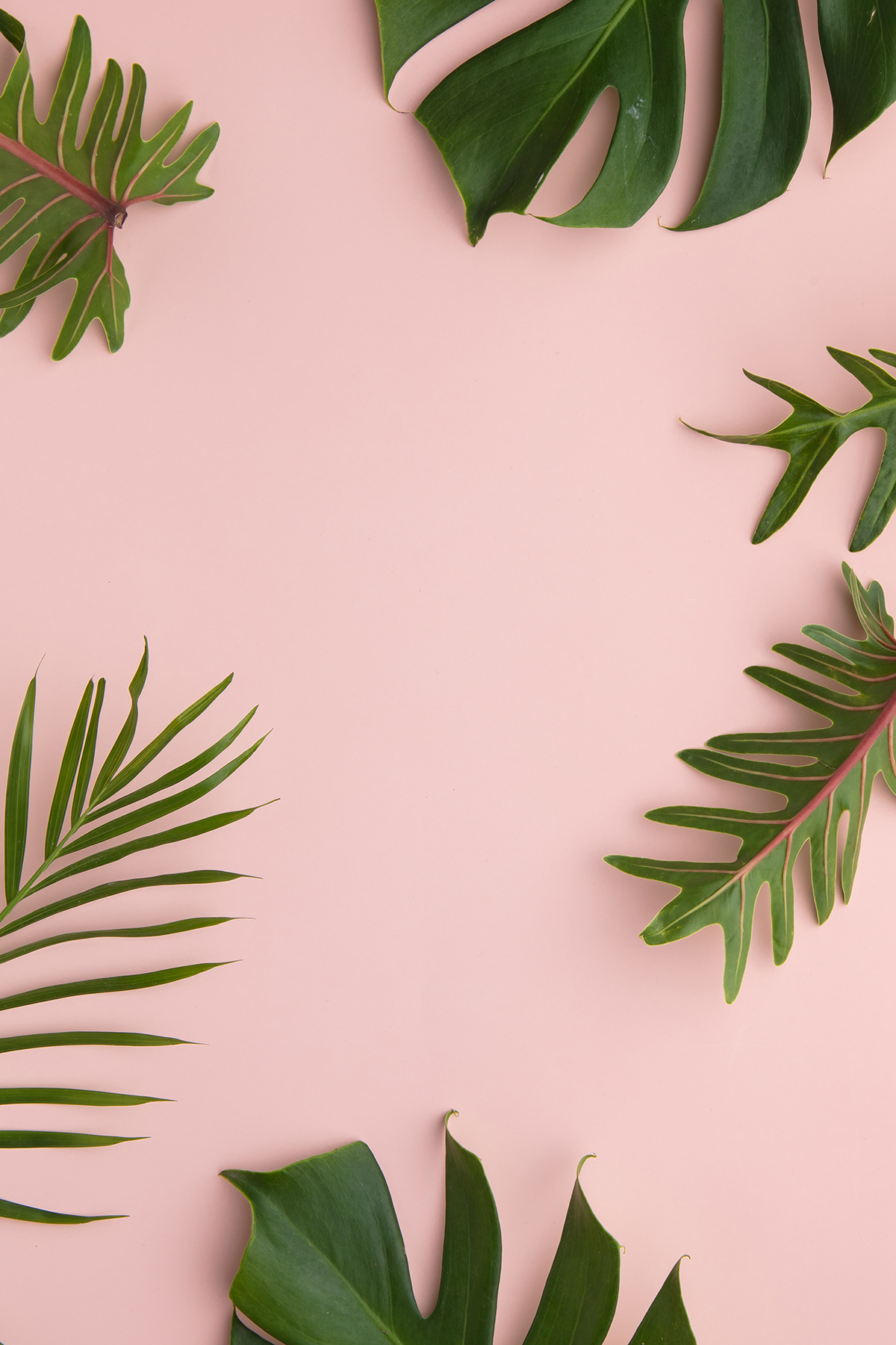 Elevae_23_0000004598