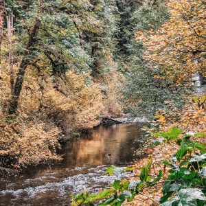 Elevae_23_0000004565