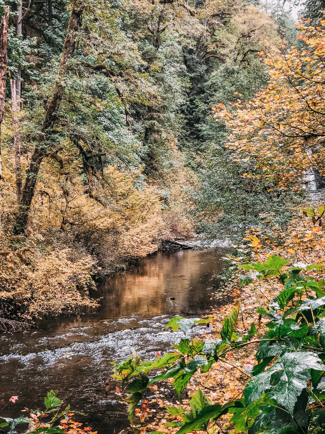 Elevae_23_0000004565