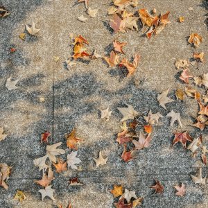 Elevae_23_0000004405