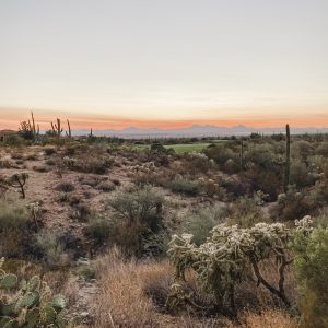 Elevae_23_0000004399
