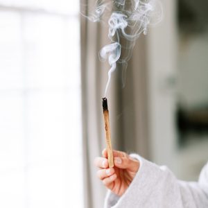 Elevae_23_0000004256