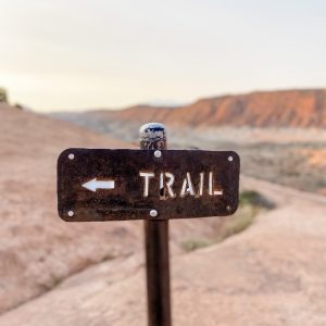 Elevae_23_0000004213