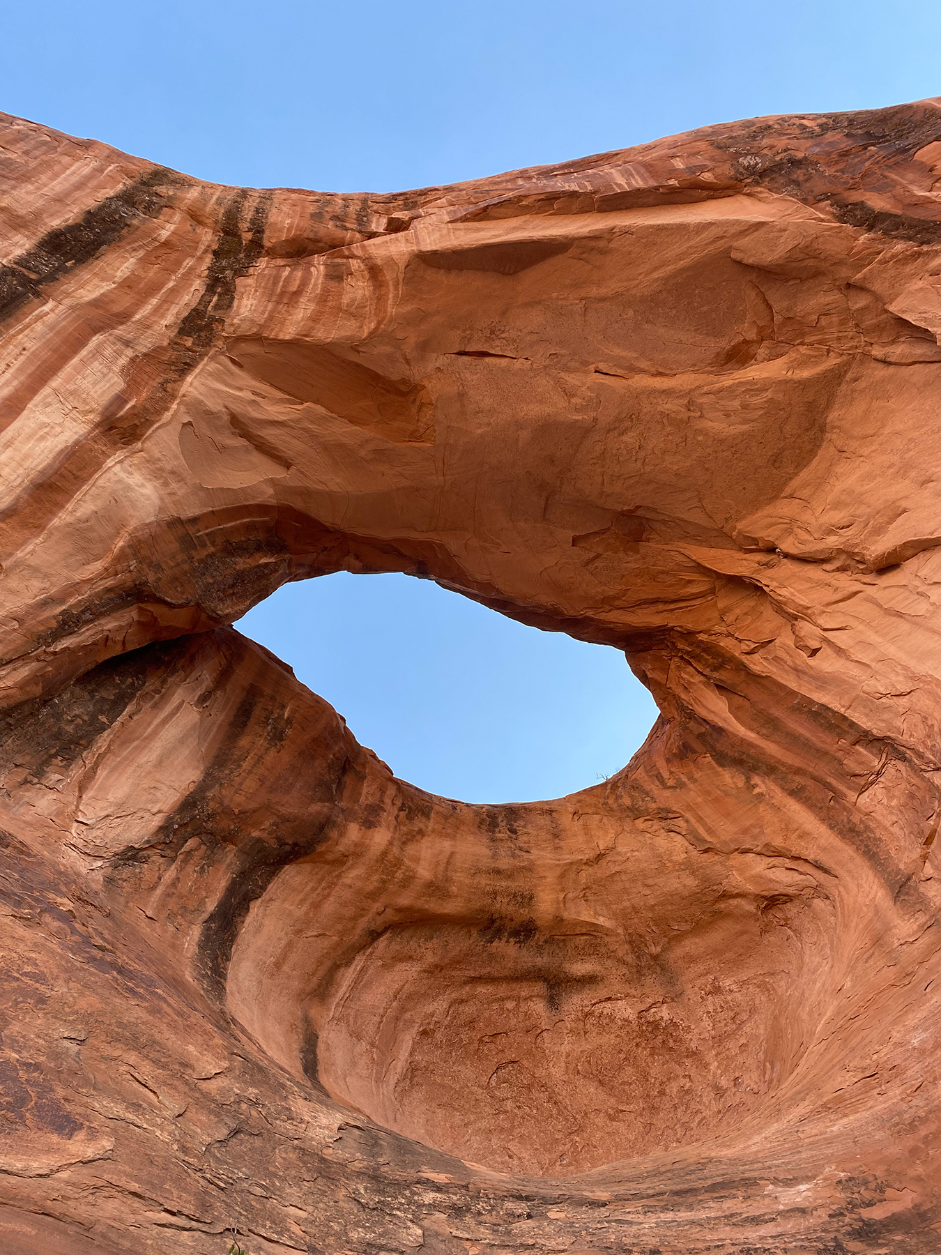 Elevae_23_0000004212