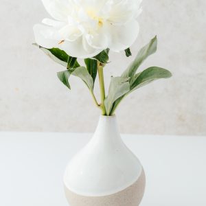 Elevae_23_0000004114