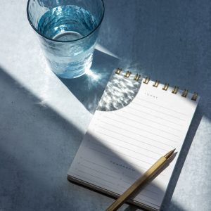 Elevae_23_0000003844