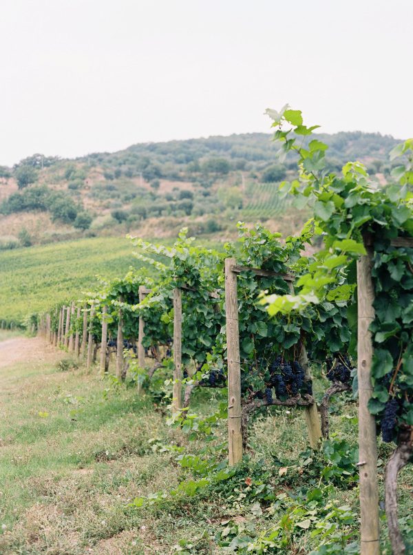 Elevae_23_0000003661