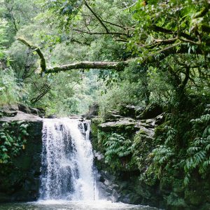 Elevae_23_0000003576